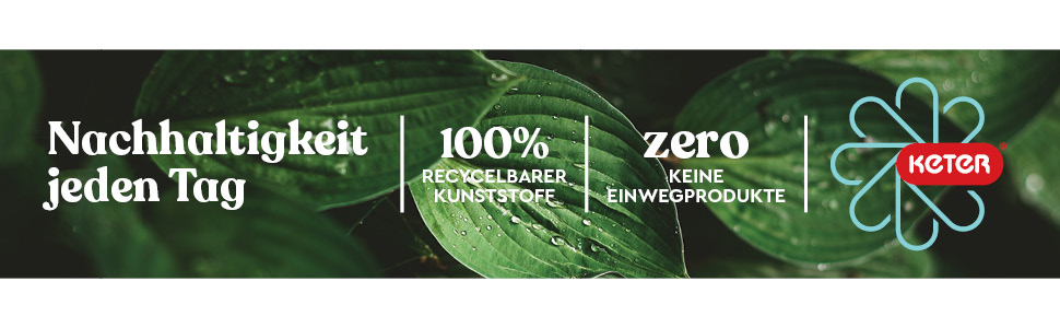 Pasted Image